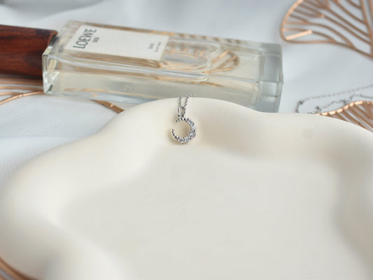 SIlver Cresent Moon Necklace